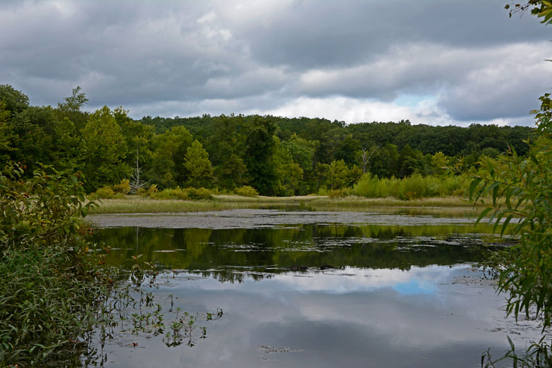 Lake_7791.jpg