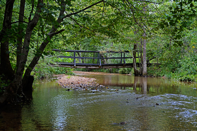 bridge_7783.jpg