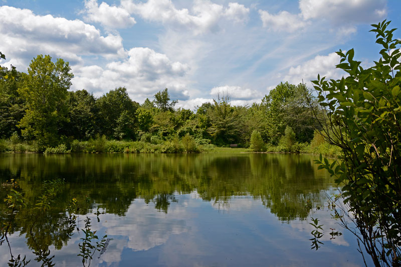 Young_Conservation_Area_8085.jpg