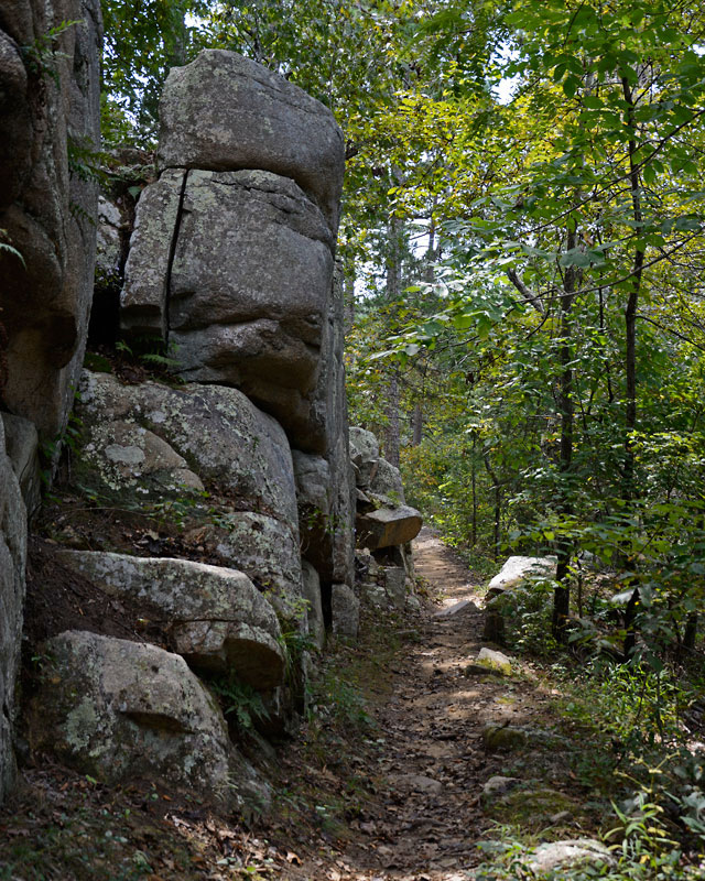 Hiking_Trail_8513.jpg