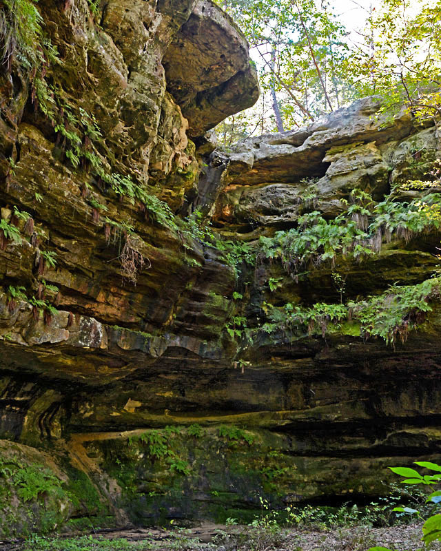 Pickle_Springs_Box_Canyon_8871.jpg