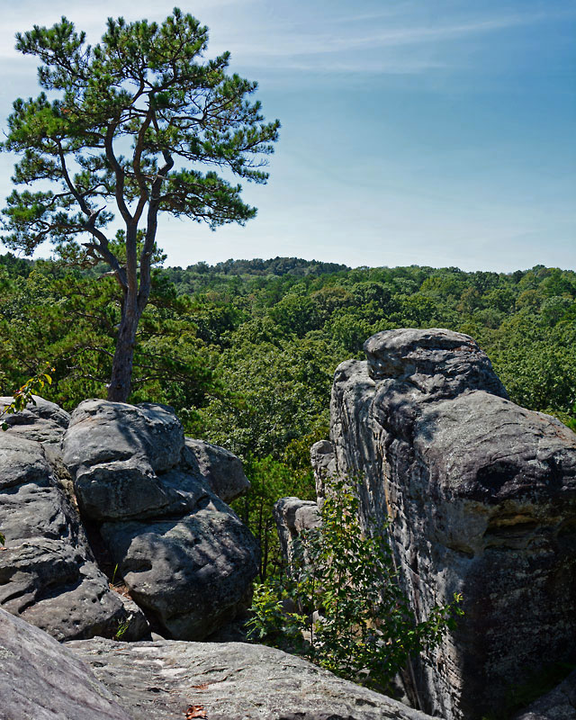 Pickle_Springs_8827.jpg