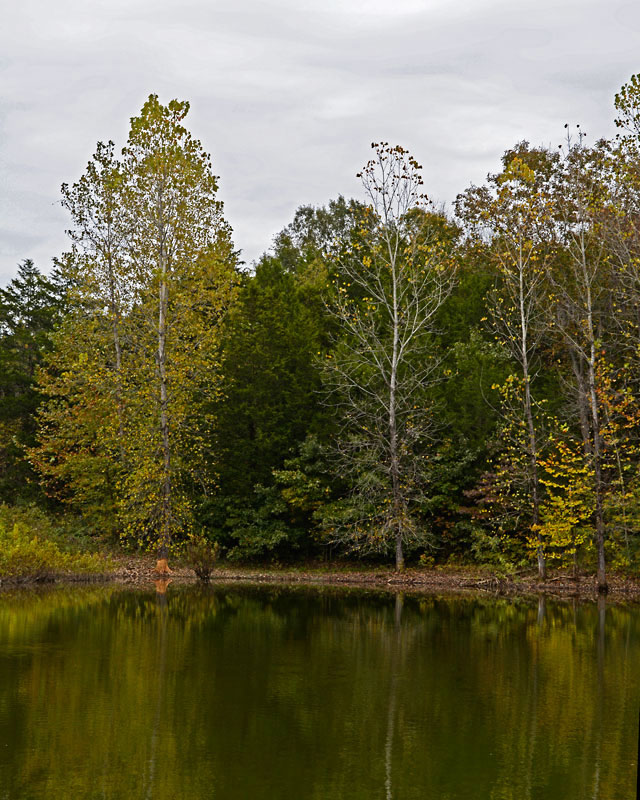 Young_Pond_9282.jpg