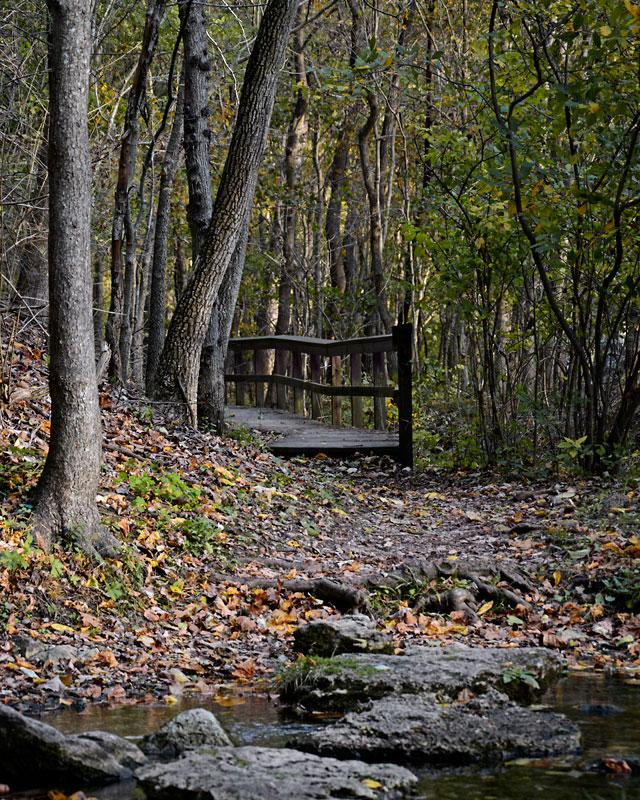 1Rockwoods_9409.jpg