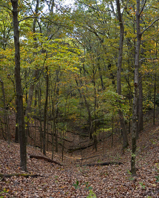 2Rockwoods_9378.jpg