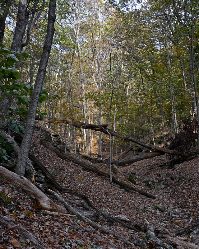 4Rockwoods_9404.jpg