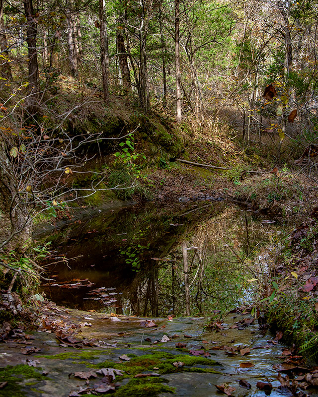 LaBarque_Creek_Conservation_Area_9949.jpg