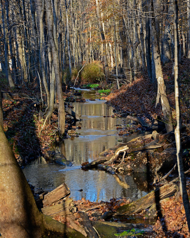 Lime_Kiln_Creek_0408.jpg