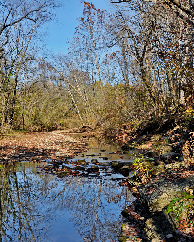 Young_LaBarque_Creek_0474.jpg