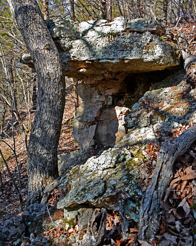Courtoise_Ozark_Trail_1050.jpg