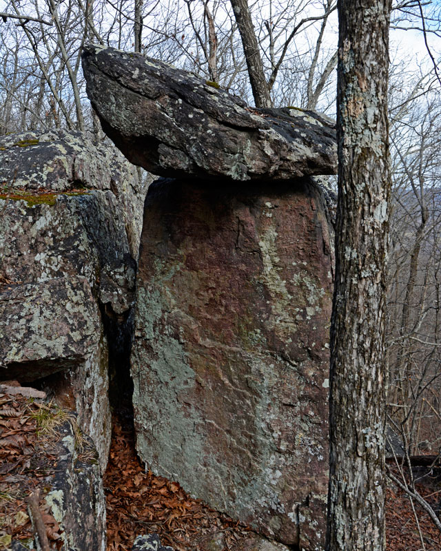 bell_1229.jpg