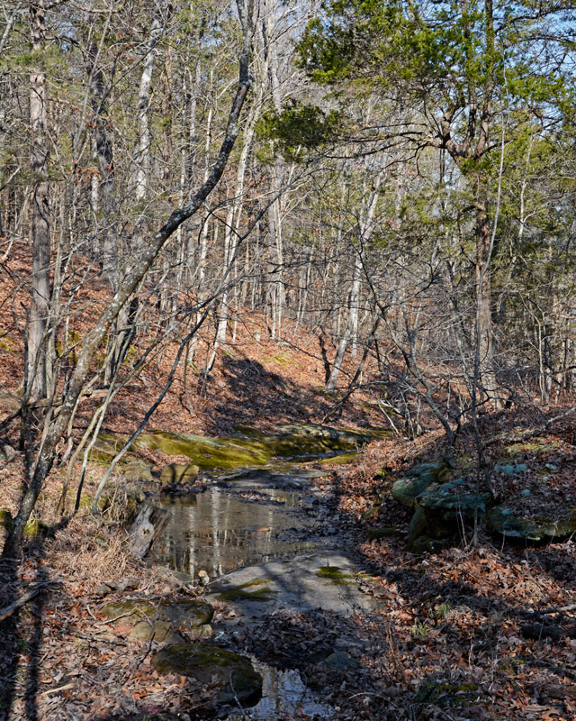 creek_1357.jpg