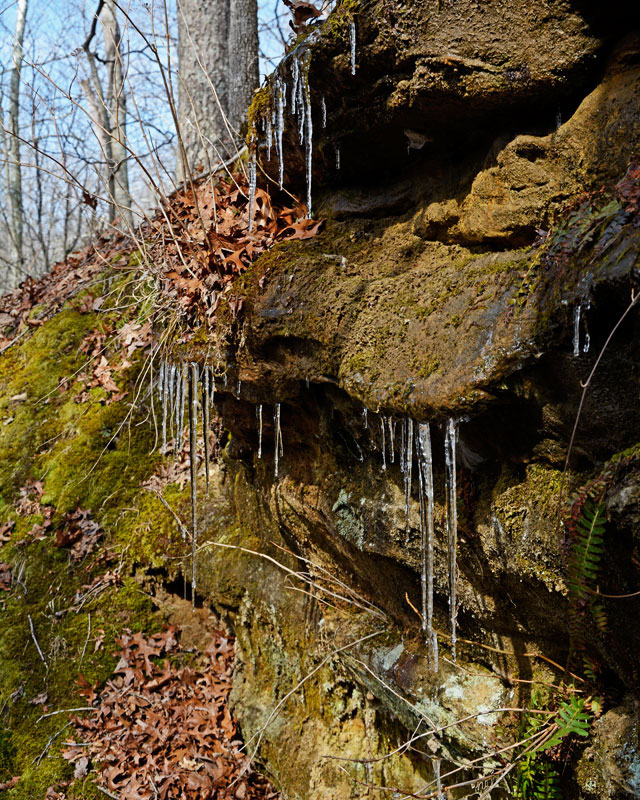 Icicles_1449.jpg