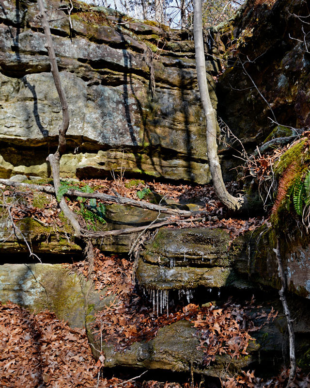 Sandstone_Bluff_1435.jpg