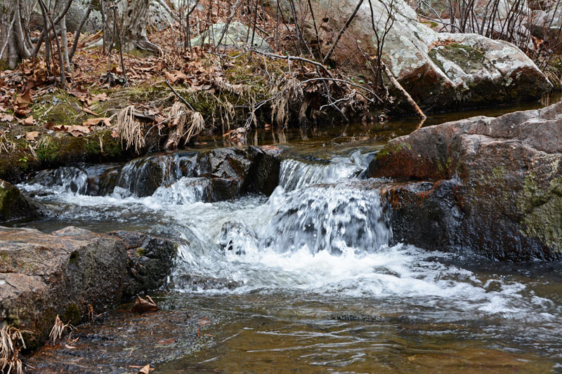 Pickle_Creek_1900.jpg