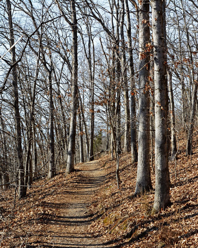 Turkey_Ridge_Trail_1976.jpg