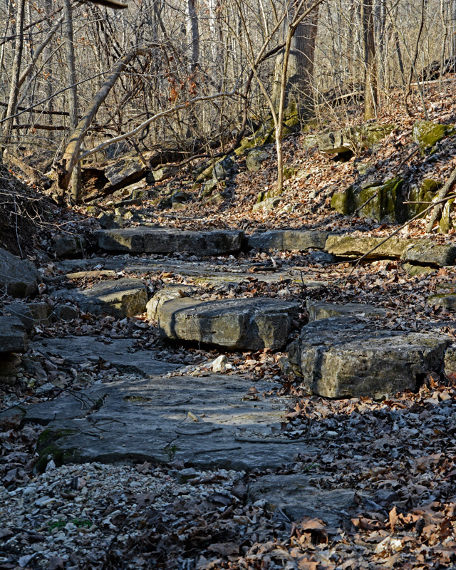 Dry_Creekbed_1491.jpg