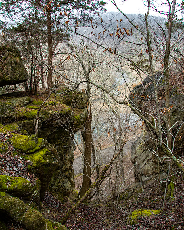 StFrancois_2013.jpg