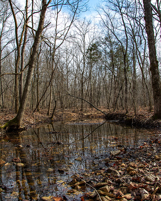 StFrancois_Creek_2030.jpg