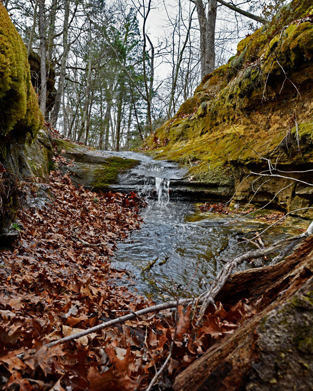 Don_Robinson_Creek_2785.jpg