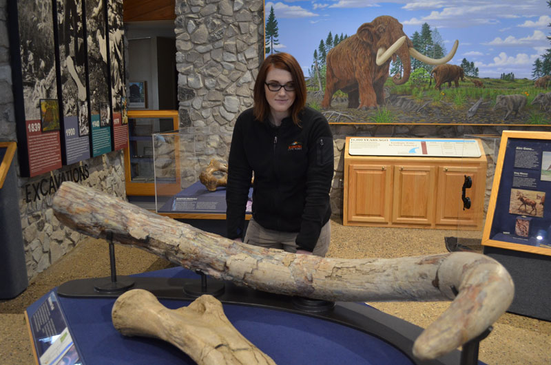 Mastodon_Tusk_01.jpg