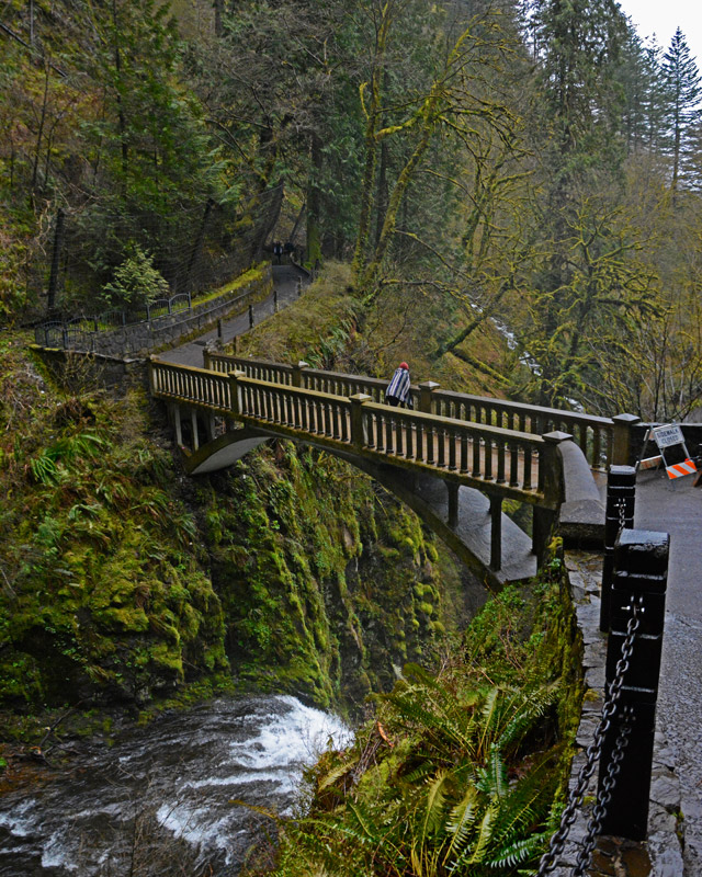 Multnomah_Bridge_3820.jpg