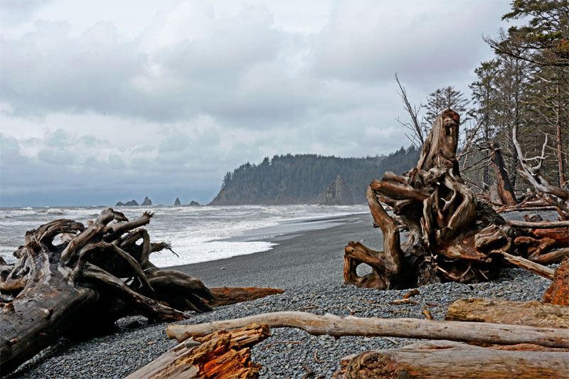 Rialto_Beach_4174.jpg