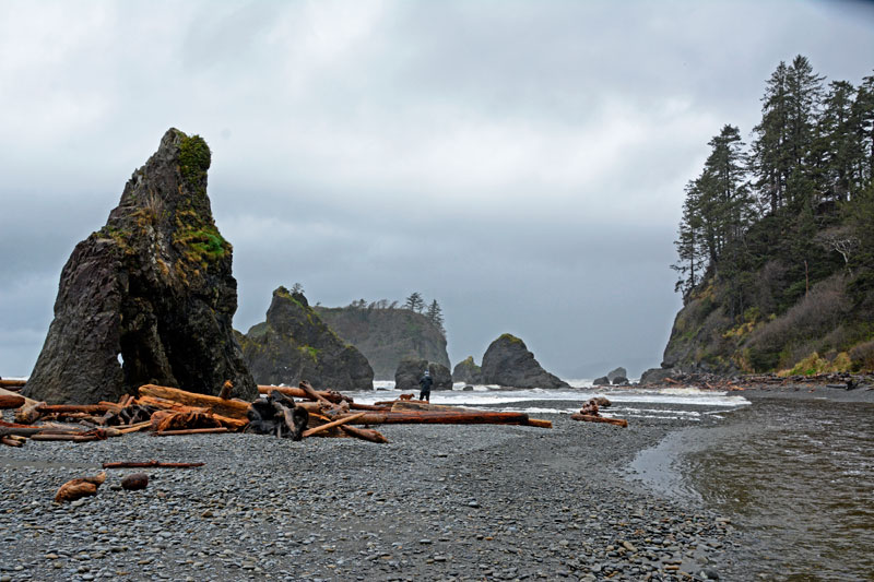 Ruby_Beach_4017.jpg