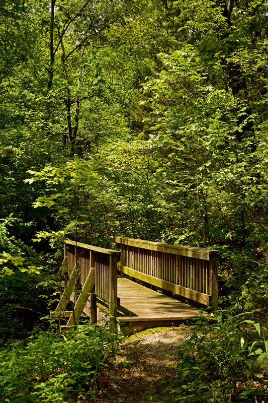 Trail_Bridge_6213.jpg