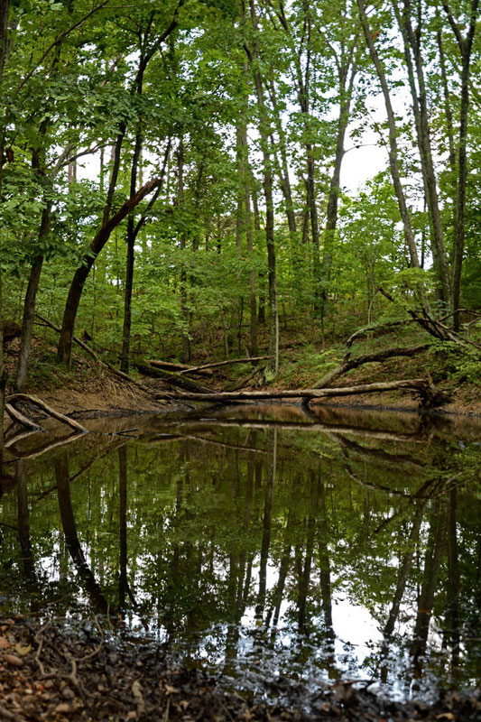 Rockwoods_Pond_6170.jpg