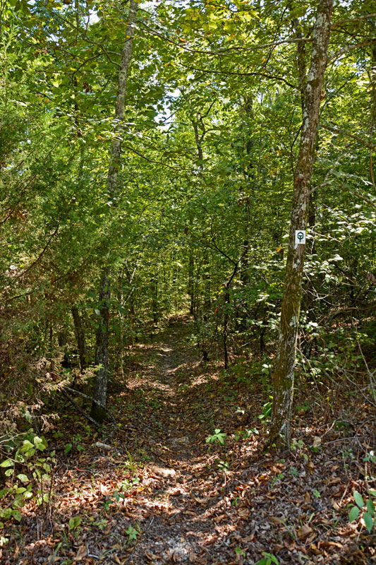 Trail_7829.jpg