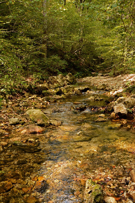 Creek_7815.jpg