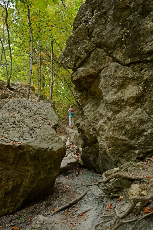 PereMarquette_7971.jpg