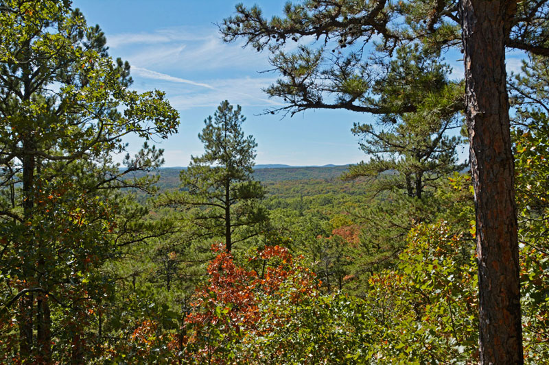 Hawn_State_Park_8143.jpg