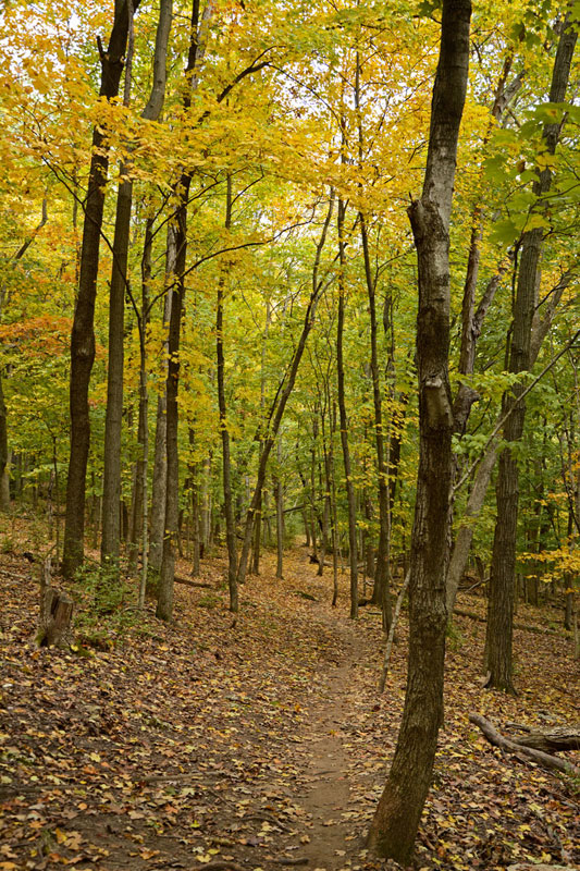 Bluff_View_Trail_8347.jpg