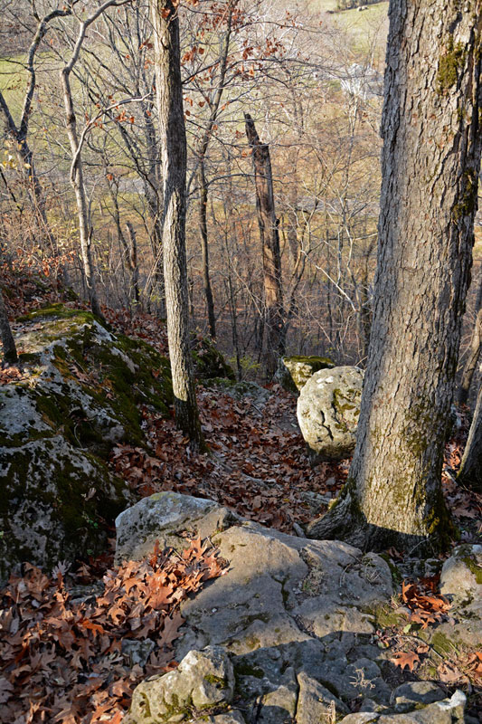 Hawthorn_Trail_Babler_9594.jpg