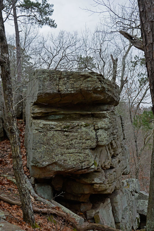 Hawn_State_Park_0474.jpg
