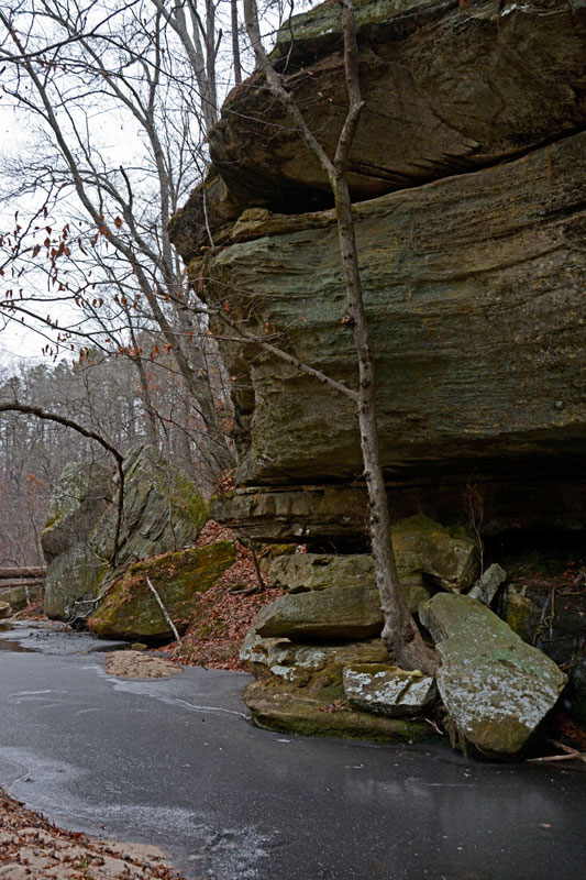 Hawn_State_Park_0570.jpg