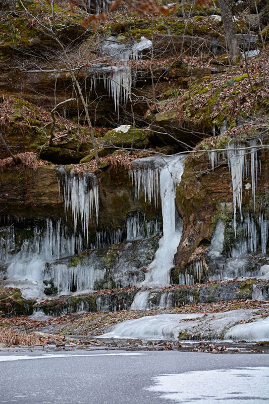 Hawn_State_Park_0554.jpg