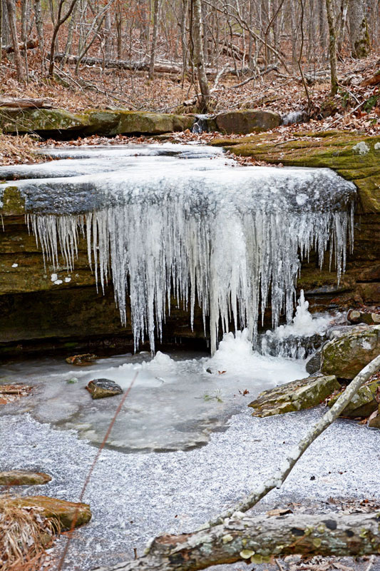 Hawn_State_Park_0614.jpg